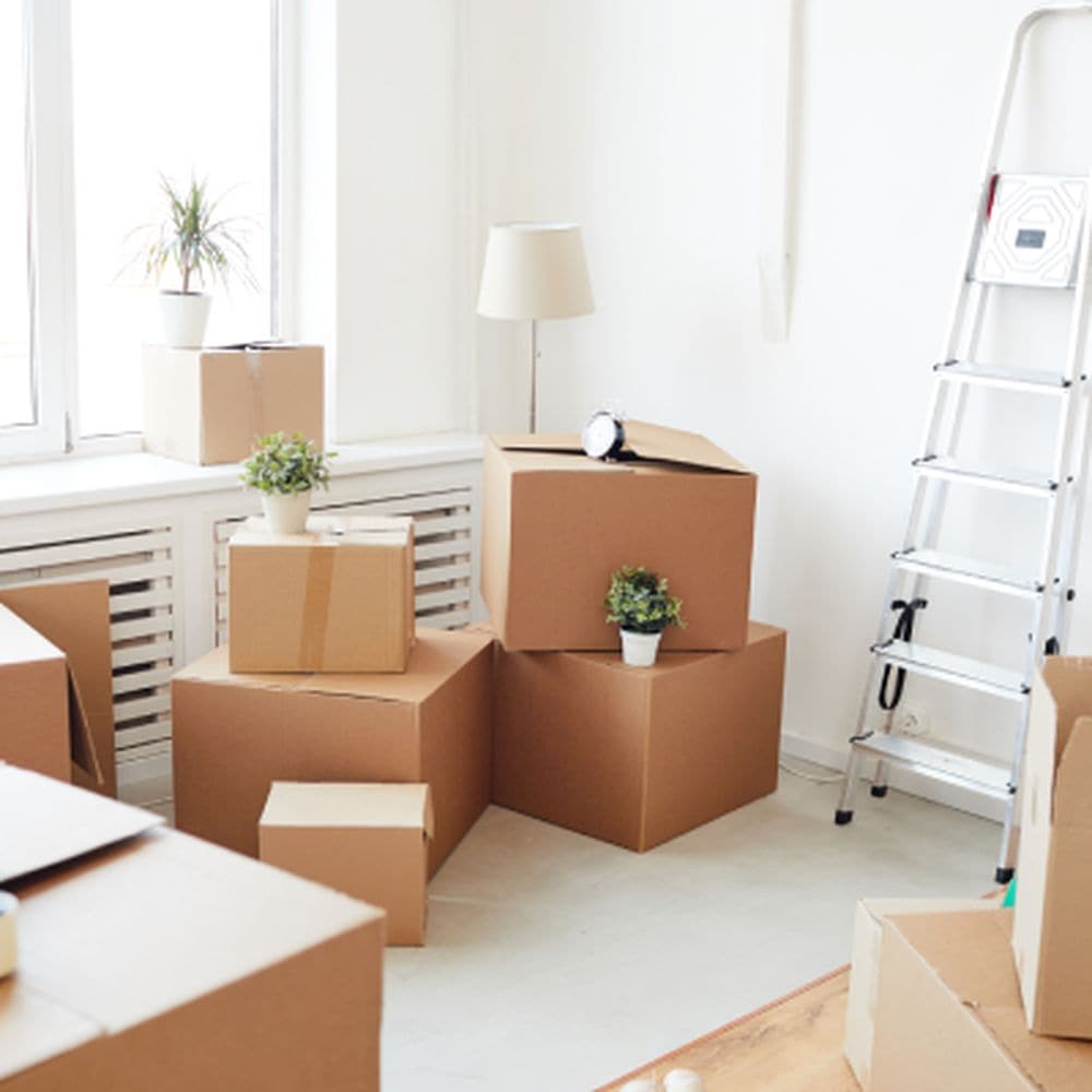 MOVE-IN CLEANING